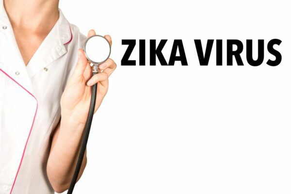 Cdc Updates Zika Pregnancy Guidelines As Virus Spreads In The Us Nabtahealth Womens Health 4633