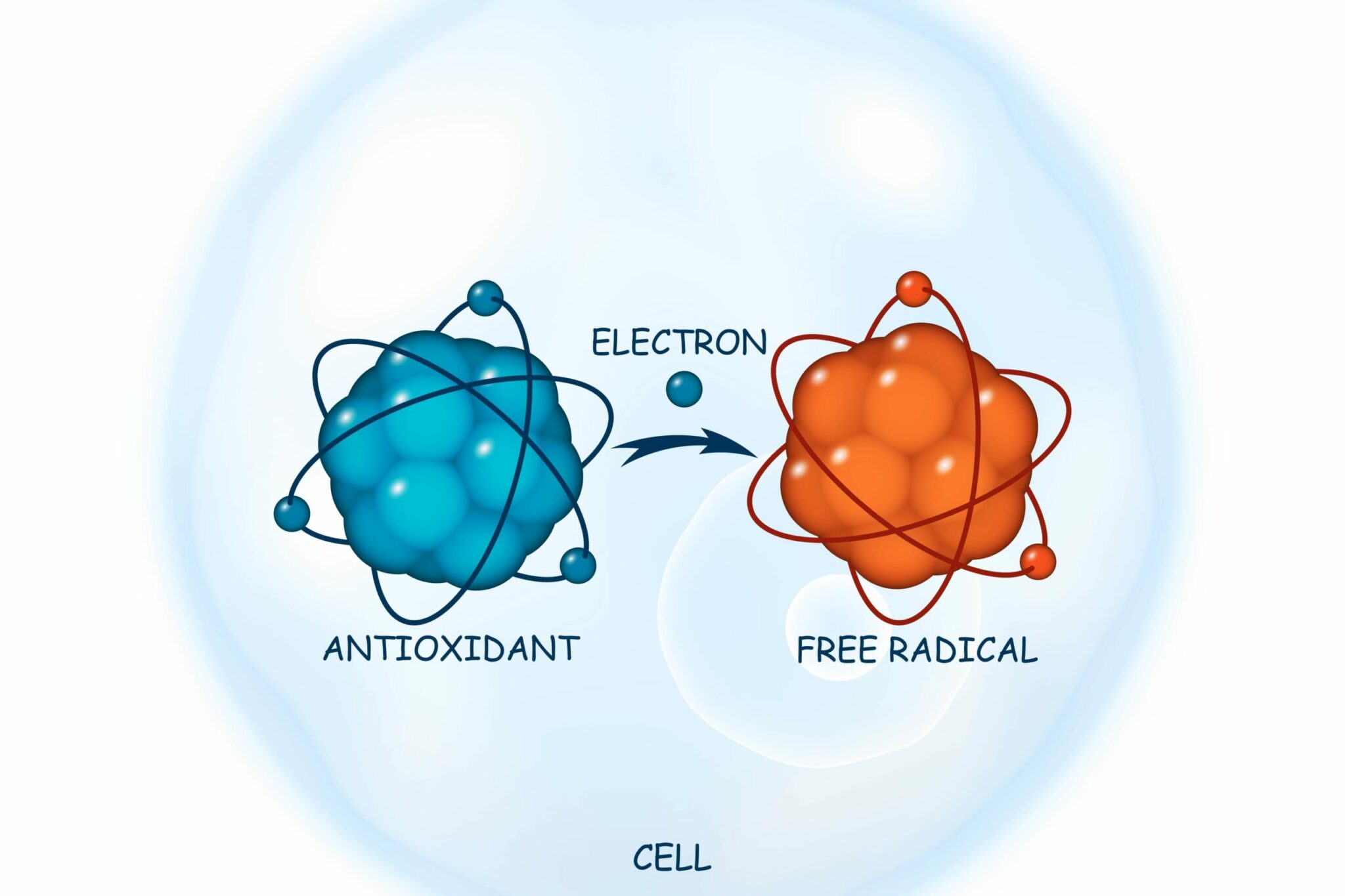 Free radicals