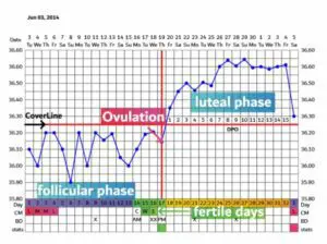 Charting-Your-Basal-Body-Temperature