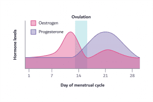 progesterone levels are too low
