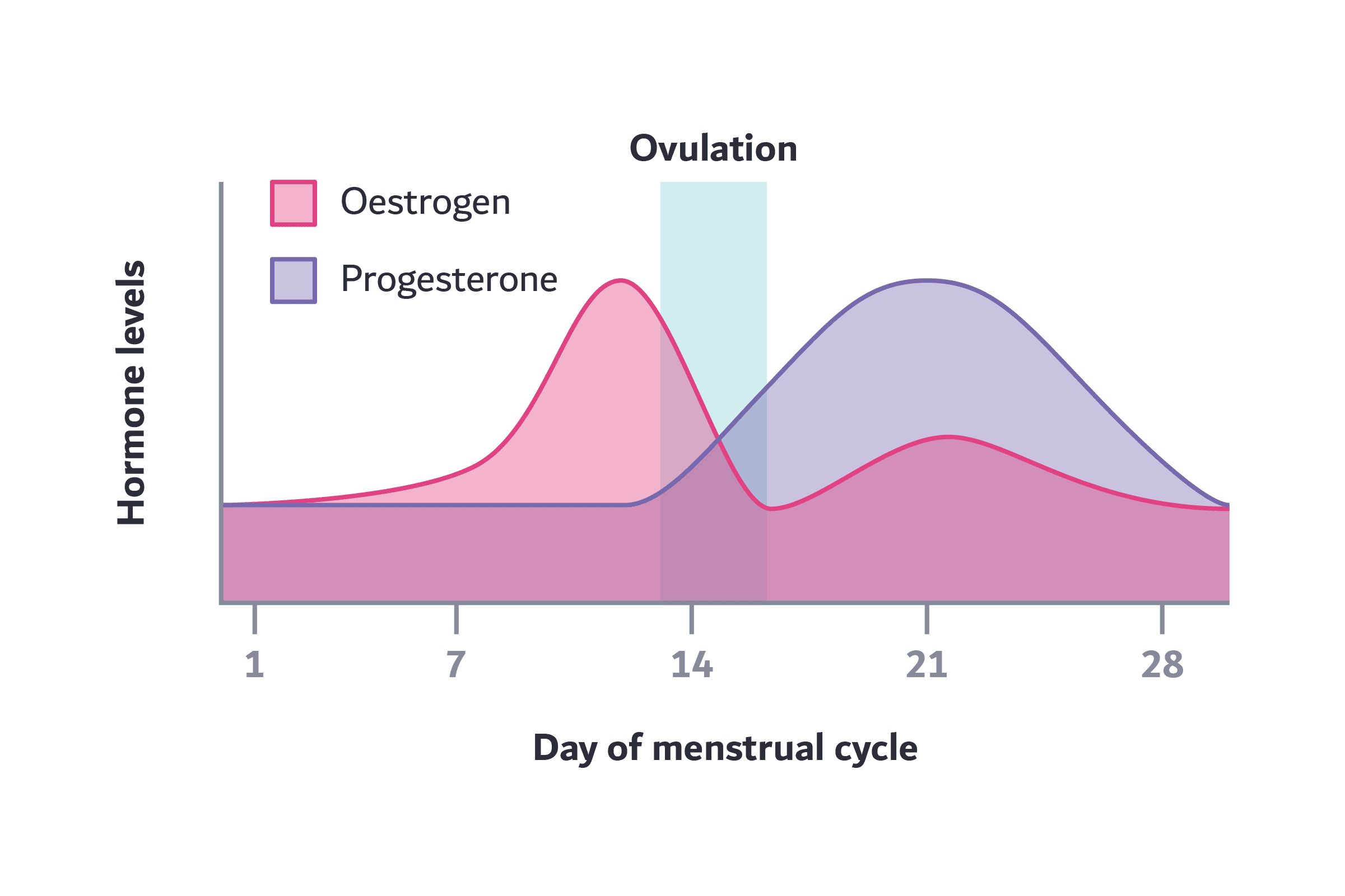 What Happens if my Progesterone Levels are too low? - Nabta Health